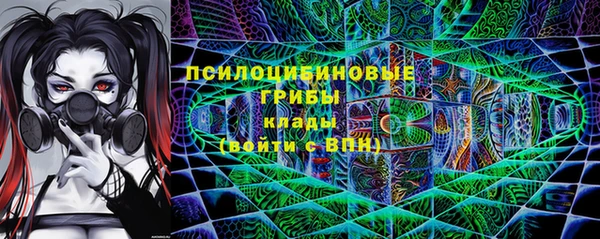 круглые Аркадак
