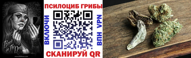 Псилоцибиновые грибы Psilocybe Скопин